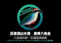 "savebirds"